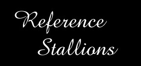 Reference Stallions